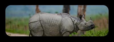Assam