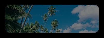 Goa